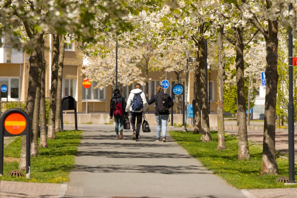 PhD Positions at University of Trento Italy 2026/2027 (42nd Cycle)