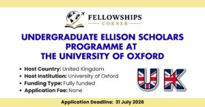 Undergraduate Ellison Scholars Programme at the University of Oxford