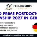 DAAD PRIME Postdoctoral Fellowship 2027 in germany (Fully Funded)